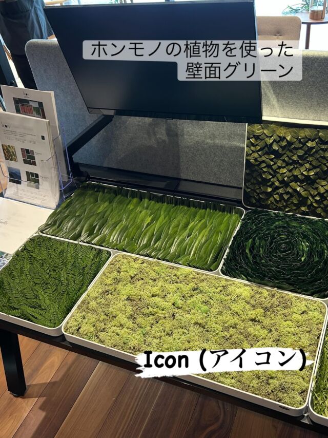 #フジビジネス広島  #オフィス　#広島 #オフィスレイアウト　#オフィス創り　#わりとなんでもやる　#公共施設 #一般企業事務所　
#文具　#事務用品　#OA機器　#スチール家具 #icon #アイコン #壁面グリーンパネル 

本物の植物を使った壁面グリーンパネルです。

Icon アイコン

ご興味ございましたらお問い合わせください♪